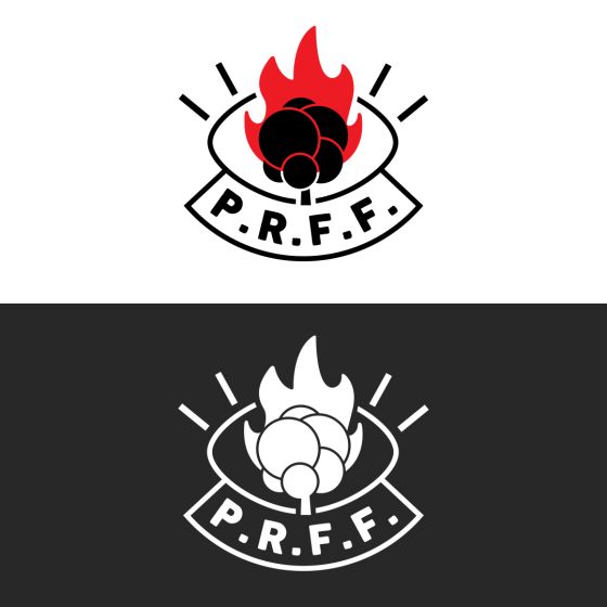 Variante du Logo PRFF, prévention des risques feux de forêt 2