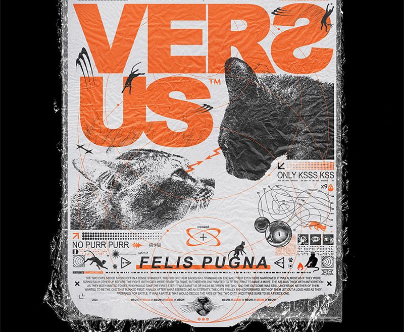 Versus felis pugna artwork poster par franck jeannin graphiste