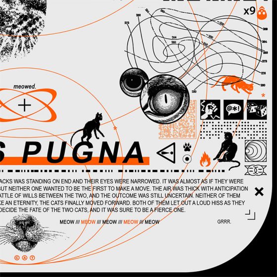 Versus felis pugna artwork poster par franck jeannin graphiste zoom