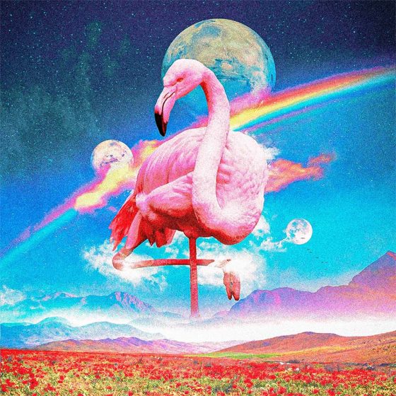 Flamingo artwork zoom