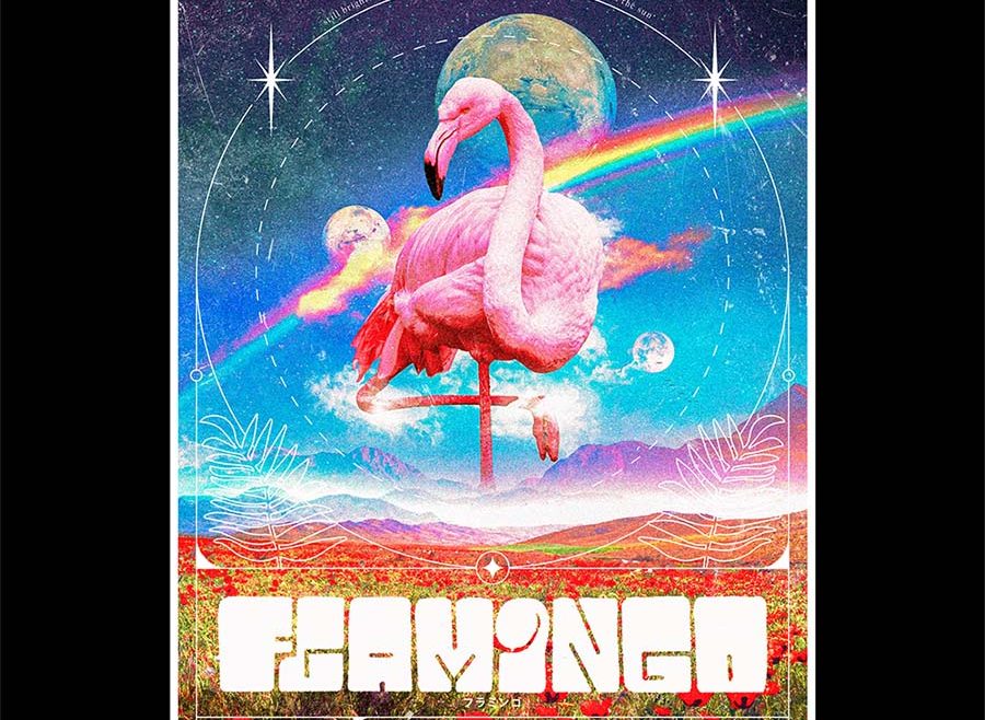 Flamingo poster design par franck jeannin graphiste