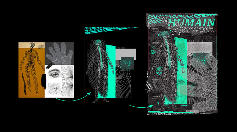Les étapes de création du poster Humain Network par Franck Jeannin graphiste