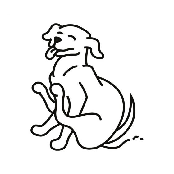 Icon illustration Scratch the dog