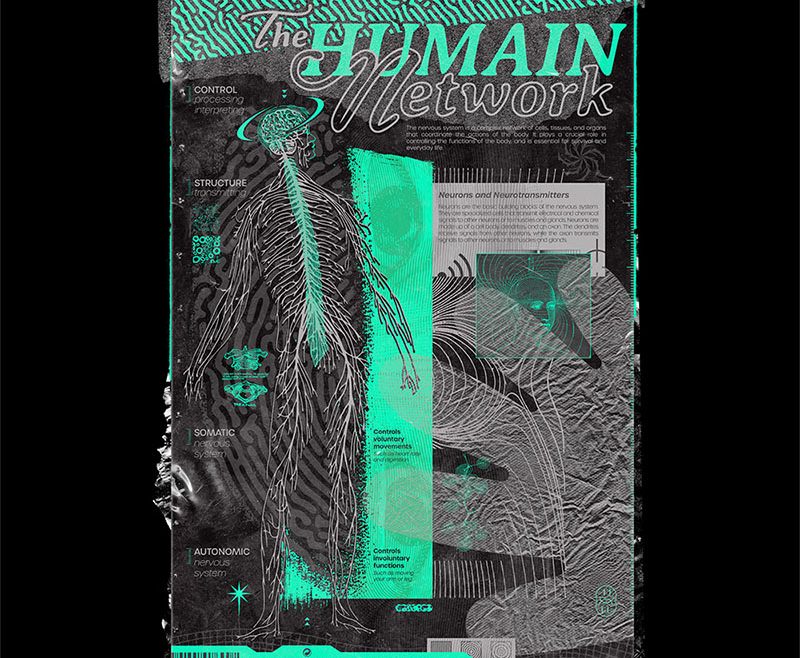 Visuel humain network poster