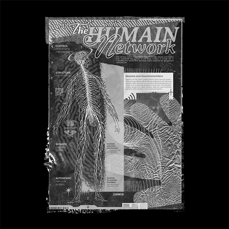 Visuel humain network poster noir et blanc