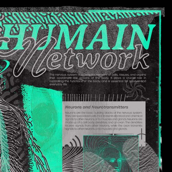 Visuel poster design zoom Humain Network