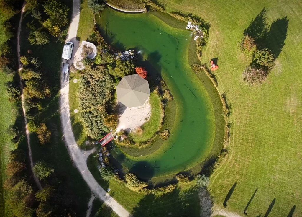 Création de bassin par Autour du Jardin